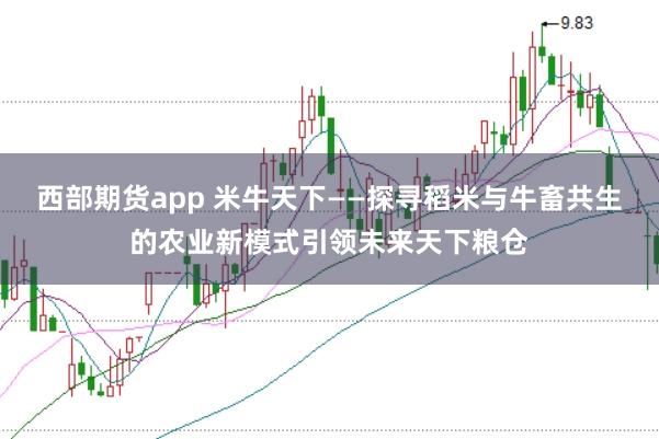 西部期货app 米牛天下——探寻稻米与牛畜共生的农业新模式引领未来天下粮仓