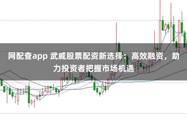 网配查app 武威股票配资新选择：高效融资，助力投资者把握市场机遇