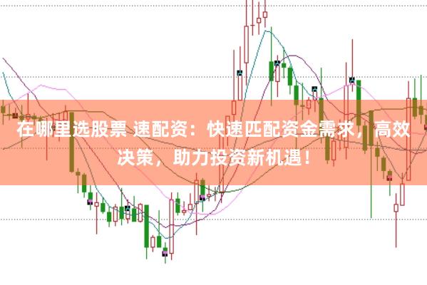 在哪里选股票 速配资：快速匹配资金需求，高效决策，助力投资新机遇！