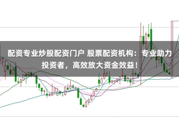 配资专业炒股配资门户 股票配资机构：专业助力投资者，高效放大资金效益！