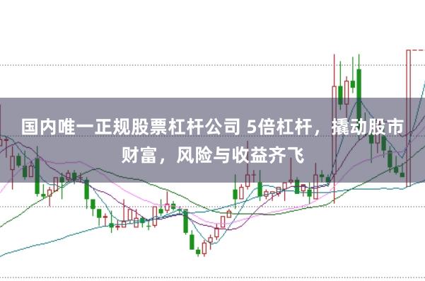国内唯一正规股票杠杆公司 5倍杠杆，撬动股市财富，风险与收益齐飞