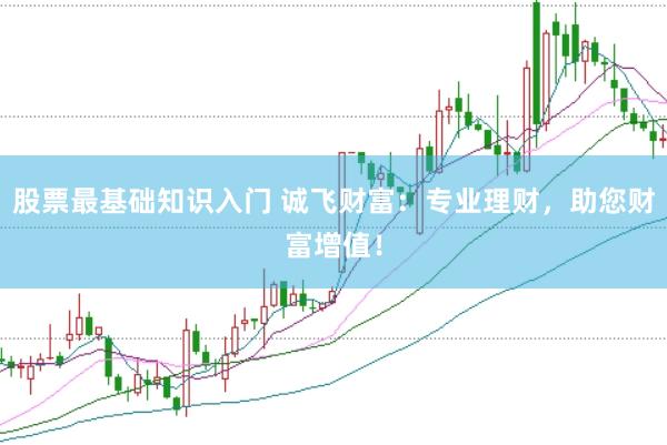 股票最基础知识入门 诚飞财富：专业理财，助您财富增值！