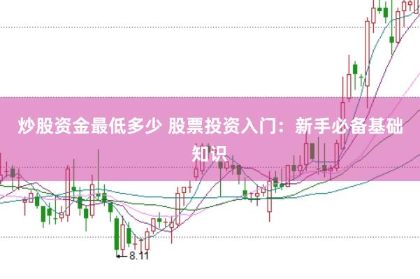 炒股资金最低多少 股票投资入门：新手必备基础知识