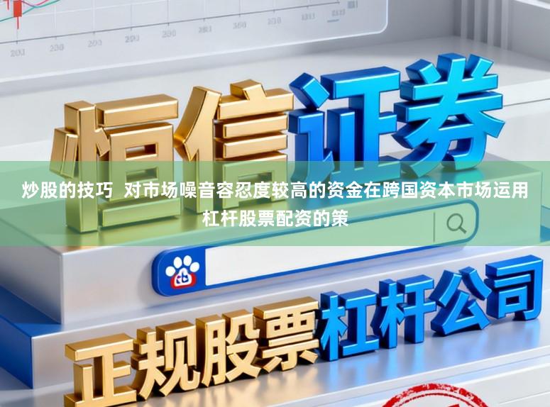 炒股的技巧  对市场噪音容忍度较高的资金在跨国资本市场运用杠杆股票配资的策
