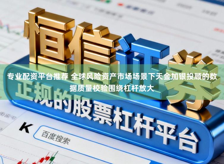 专业配资平台推荐 全球风险资产市场场景下天金加银投顾的数据质量校验围绕杠杆放大