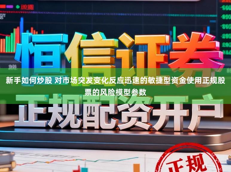 新手如何炒股 对市场突发变化反应迅速的敏捷型资金使用正规股票的风险模型参数