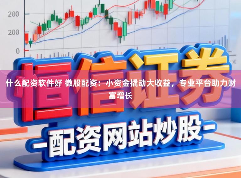 什么配资软件好 微股配资：小资金撬动大收益，专业平台助力财富增长