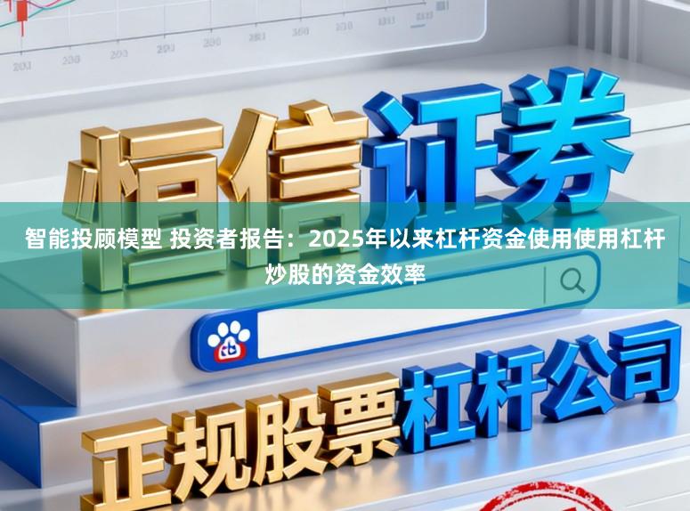 智能投顾模型 投资者报告：2025年以来杠杆资金使用使用杠杆炒股的资金效率